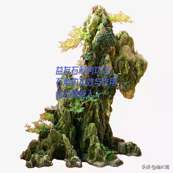 益友石斛的功效