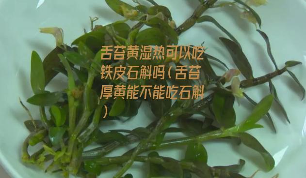 舌苔黄湿热可以吃铁皮石斛吗