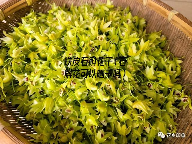 铁皮石斛花干