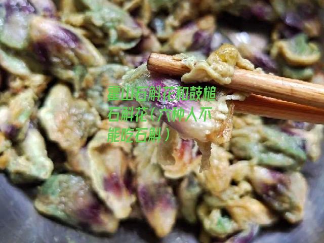 霍山石斛花和鼓槌石斛花