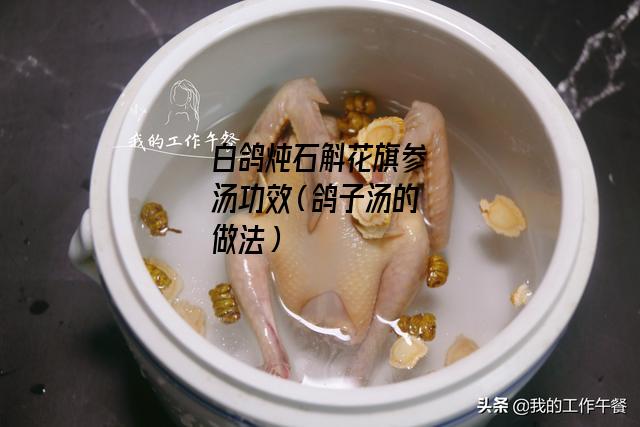 白鸽炖石斛花旗参汤功效