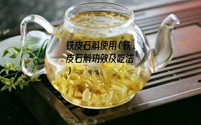 铁皮石斛使用