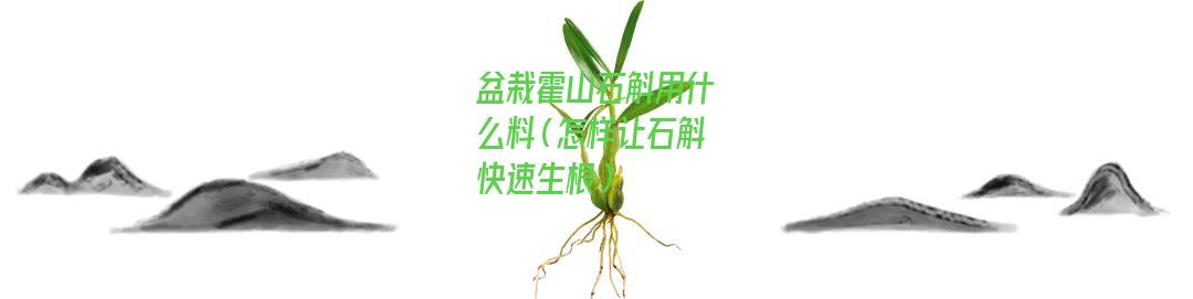 盆栽霍山石斛用什么料