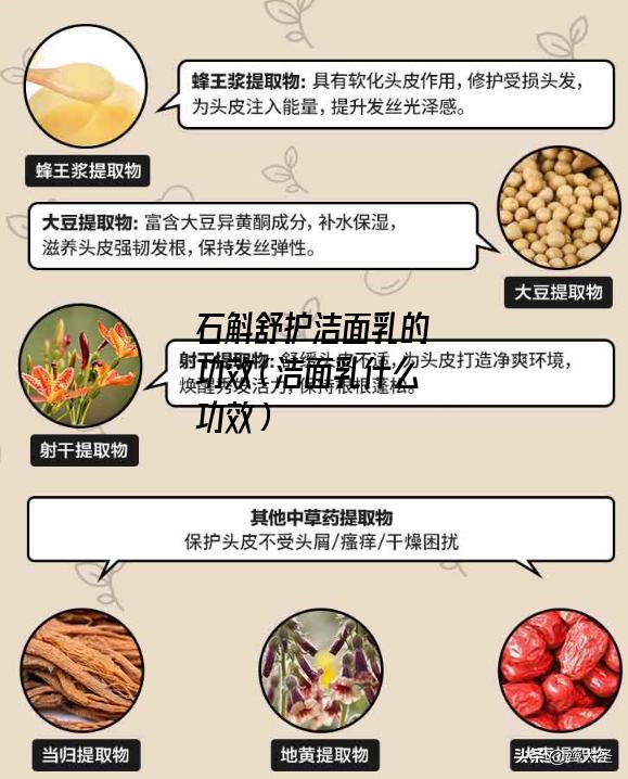 石斛舒护洁面乳的功效