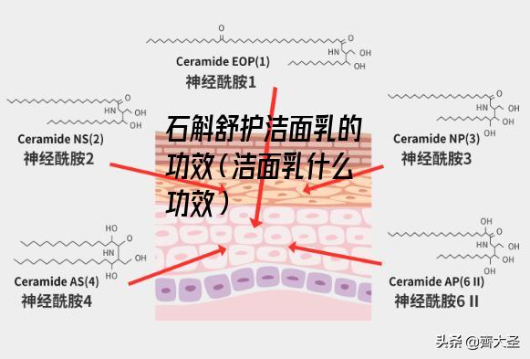 石斛舒护洁面乳的功效