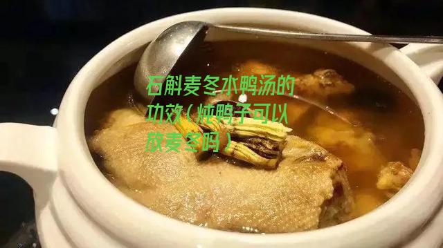 石斛麦冬水鸭汤的功效