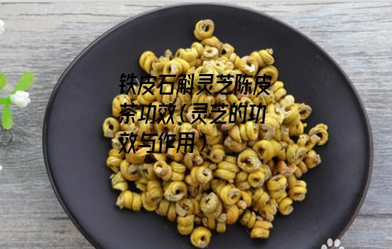 铁皮石斛灵芝陈皮茶功效