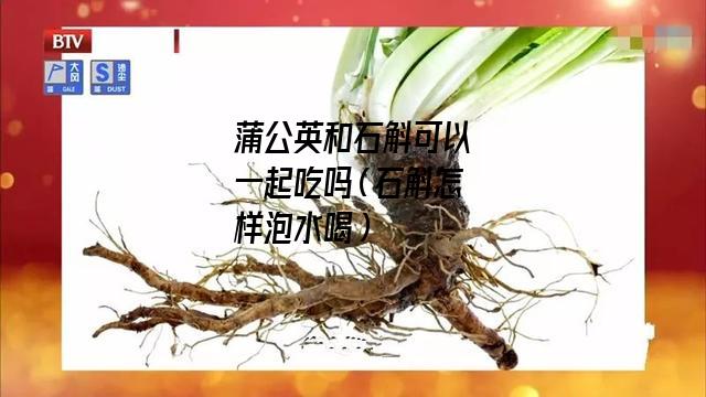 蒲公英和石斛可以一起吃吗