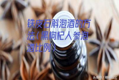 铁皮石斛泡酒的方法