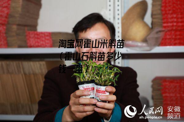 淘宝网霍山米斛苗