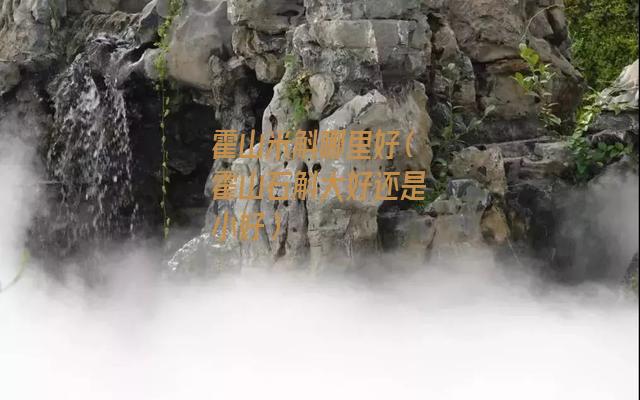 霍山米斛哪里好