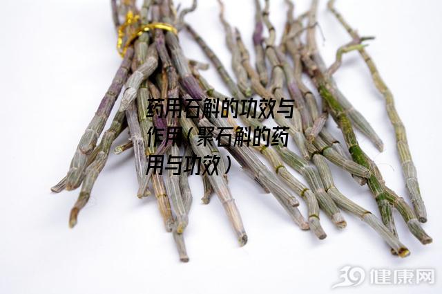 药用石斛的功效与作用