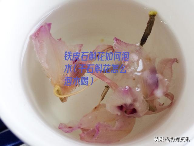 铁皮石斛花如何泡水