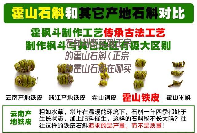 怎样判断买到正宗的霍山石斛