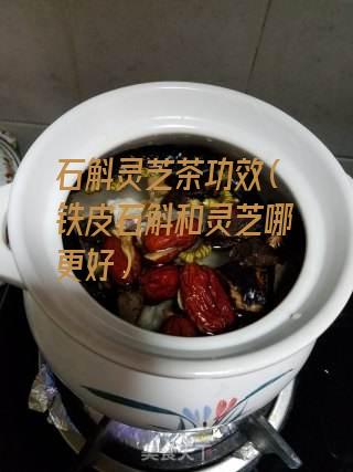 石斛灵芝茶功效（铁皮石斛和灵芝哪更好）