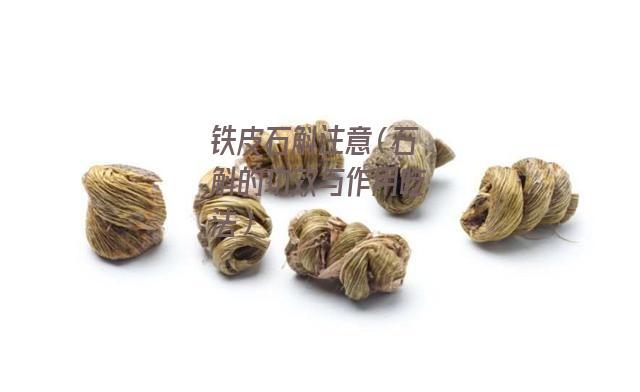 铁皮石斛注意