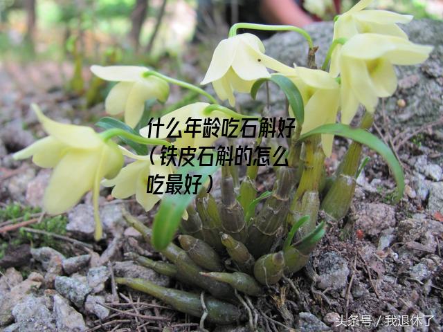 什么年龄吃石斛好