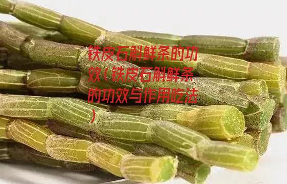 铁皮石斛鲜条的功效