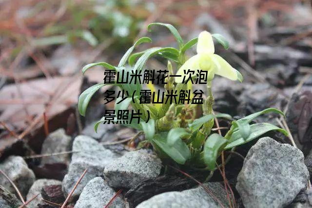 霍山米斛花一次泡多少