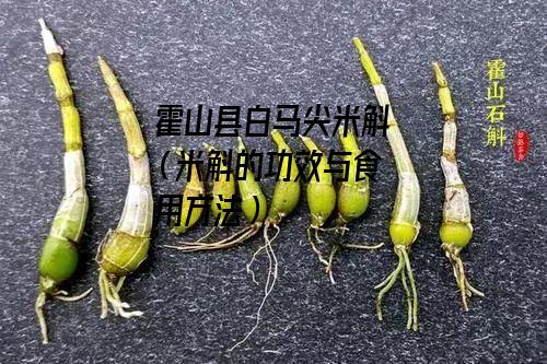 霍山县白马尖米斛