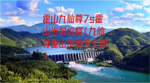 霍山九仙尊7s霍山米斛价格