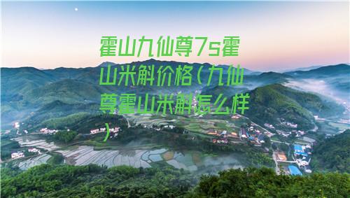 霍山九仙尊7s霍山米斛价格