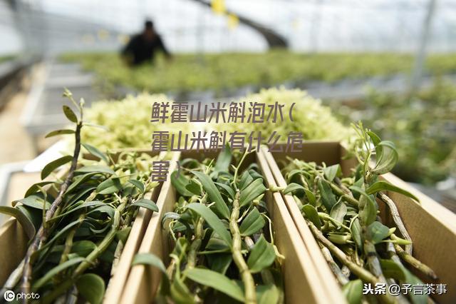 鲜霍山米斛泡水