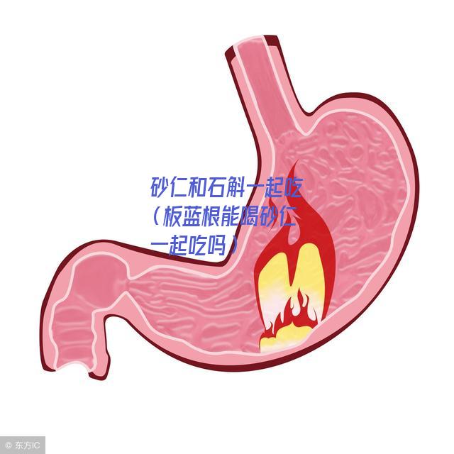 砂仁和石斛一起吃