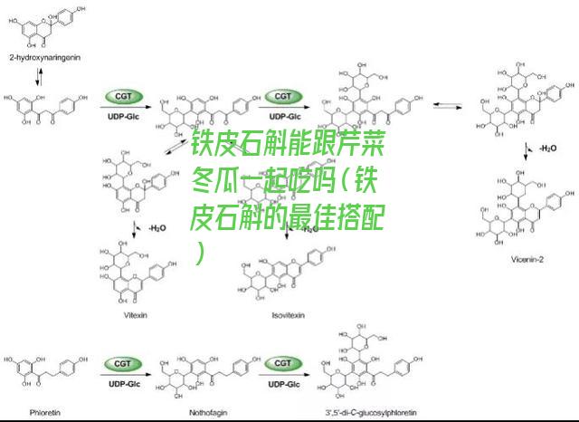 铁皮石斛能跟芹菜冬瓜一起吃吗