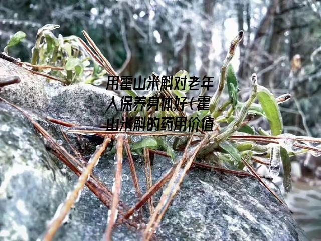 用霍山米斛对老年人保养身体好