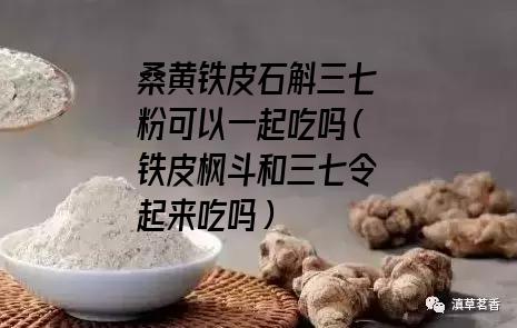 桑黄铁皮石斛三七粉可以一起吃吗