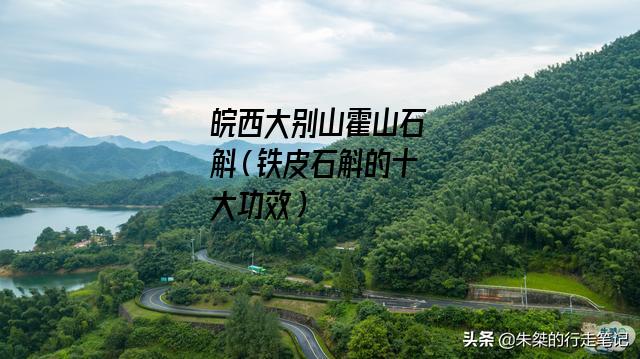 皖西大别山霍山石斛