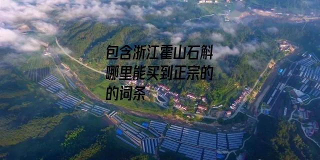 浙江霍山石斛哪里能买到正宗的