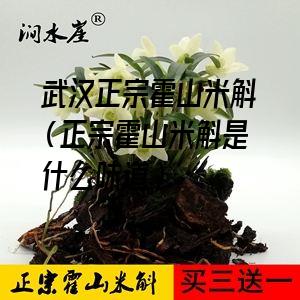 武汉正宗霍山米斛（正宗霍山米斛是什么味道）