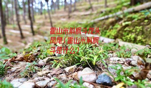 霍山米斛枫斗龙头凤尾