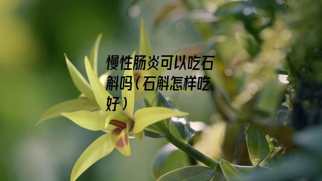 慢性肠炎可以吃石斛吗