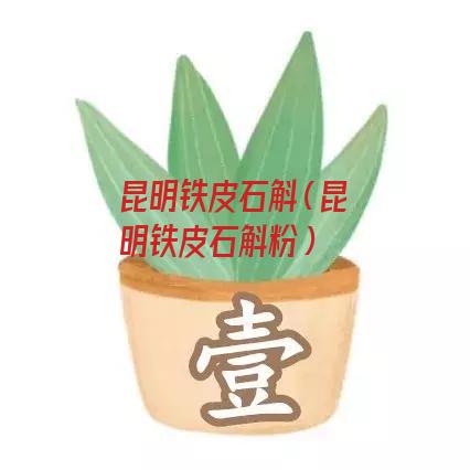 昆明铁皮石斛