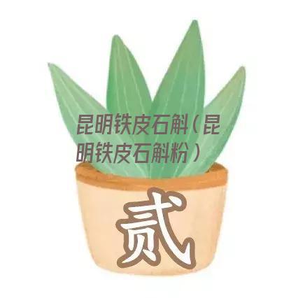 昆明铁皮石斛