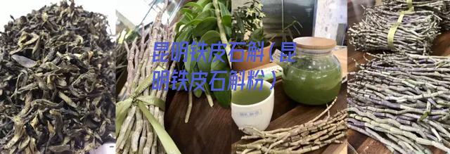 昆明铁皮石斛