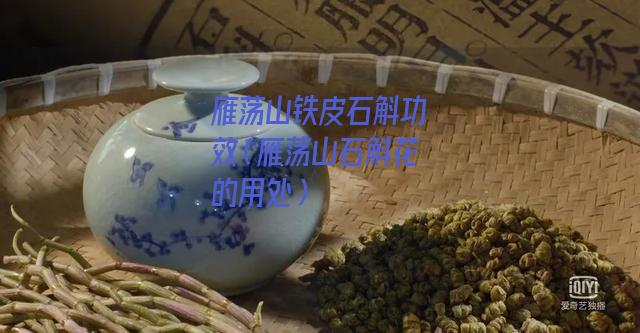 雁荡山铁皮石斛功效