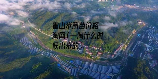 霍山米斛苗价格一淘网