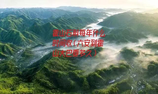 霍山石斛每年什么时间收