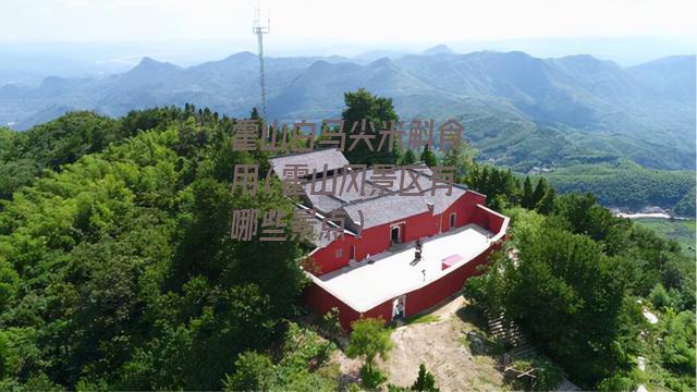 霍山白马尖米斛食用