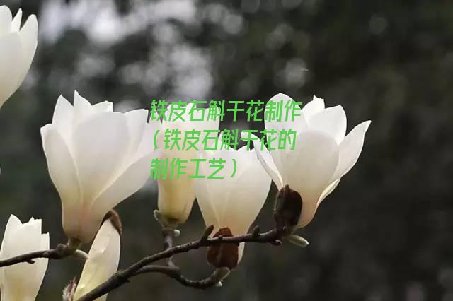 铁皮石斛干花制作