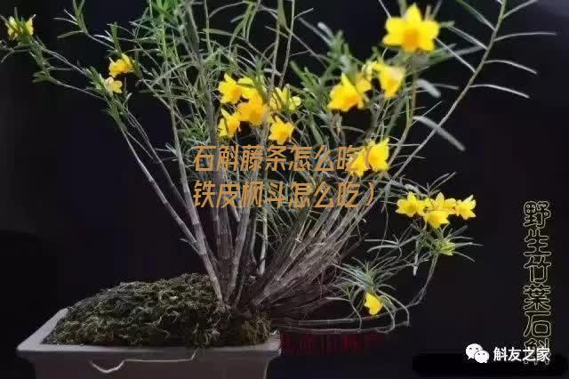 石斛藤条怎么吃