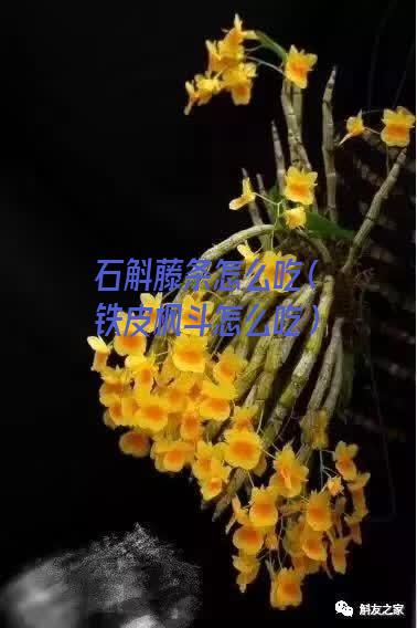 石斛藤条怎么吃