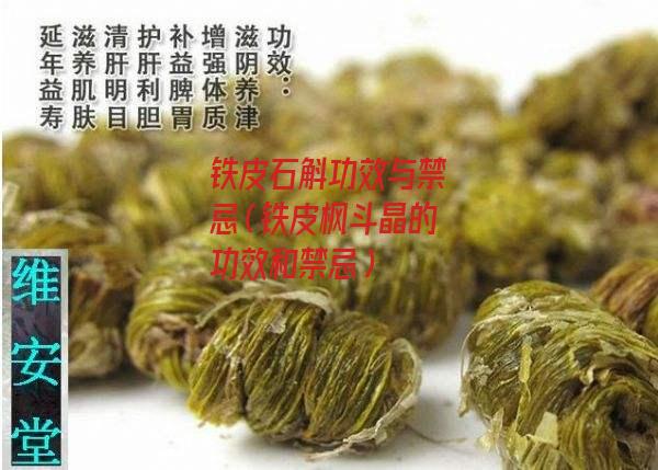 铁皮石斛功效与禁忌（铁皮枫斗晶的功效和禁忌）