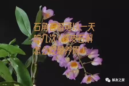 石角石斛可以一天吃几次