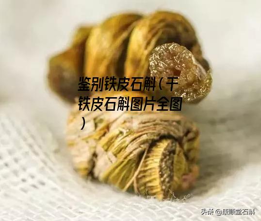 鉴别铁皮石斛