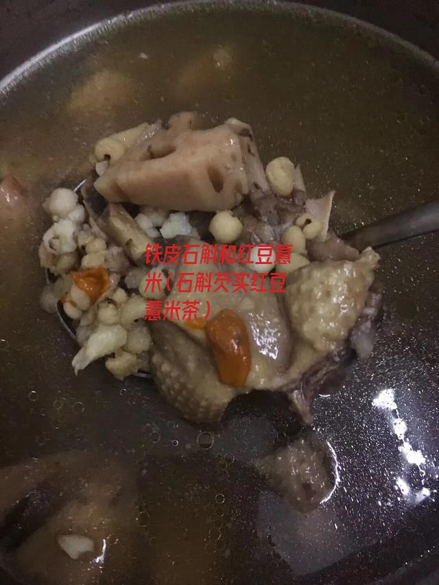 铁皮石斛和红豆薏米